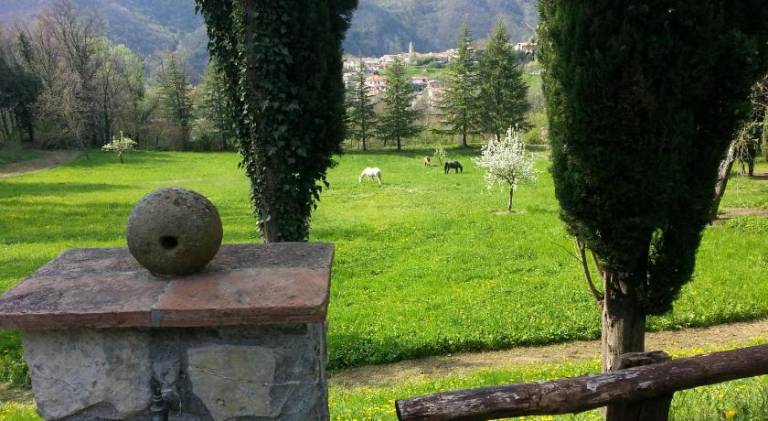 foto6
