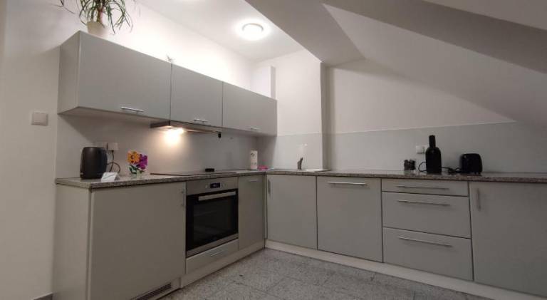 Pleasant holiday apartment | Pets are welcome — photo 3