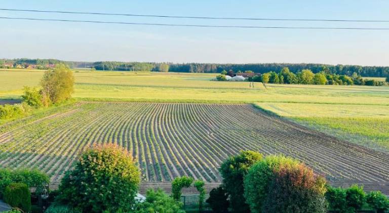 Ferienwohnung Feucht