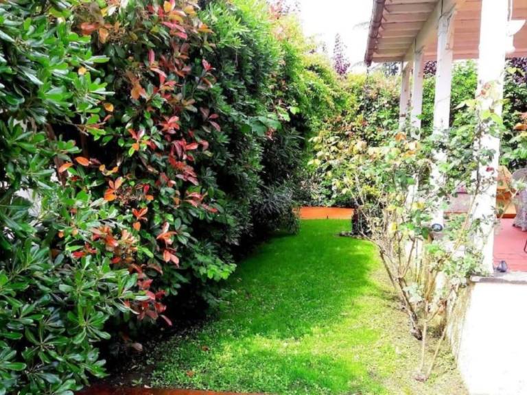 House with yard, patio & barbecue — photo 3
