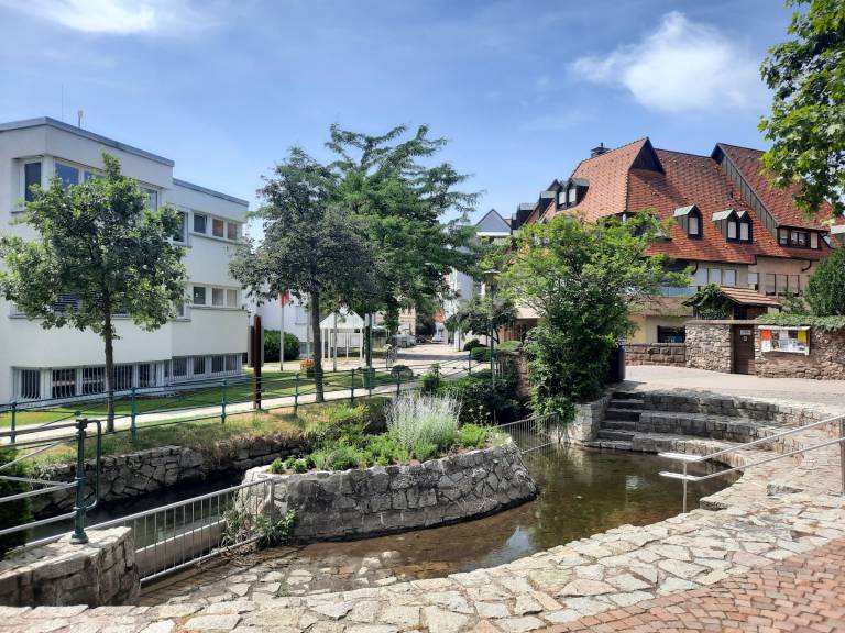 foto29