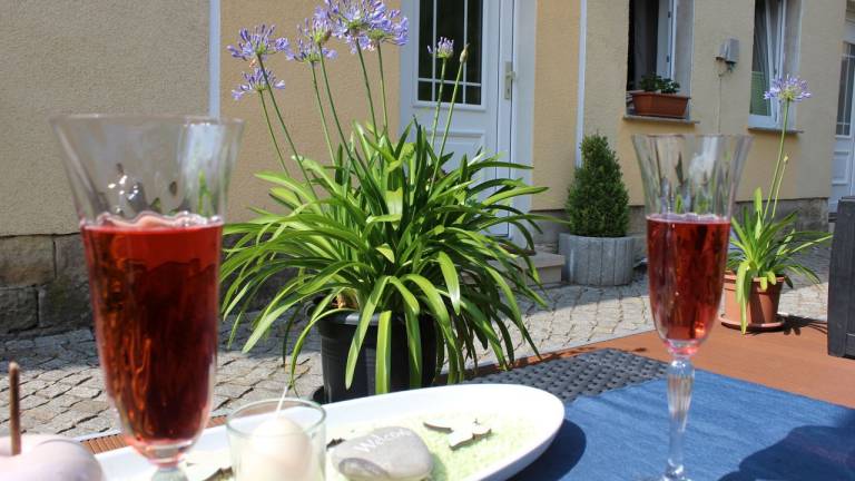 Ferienwohnung Pillnitz