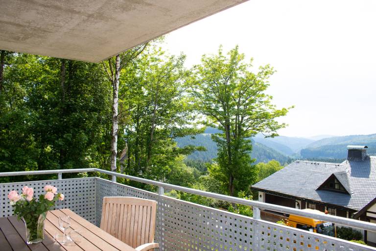 Ferienwohnung Neuastenberg