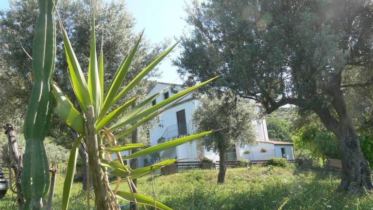 Serre: Camera Matrimoniale — photo 5
