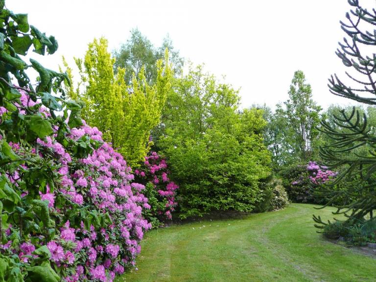 foto49