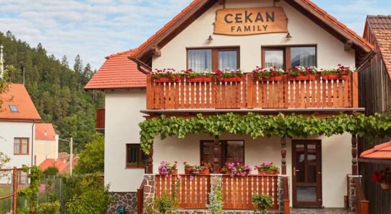 Cekan Family Guest House in Sibiu