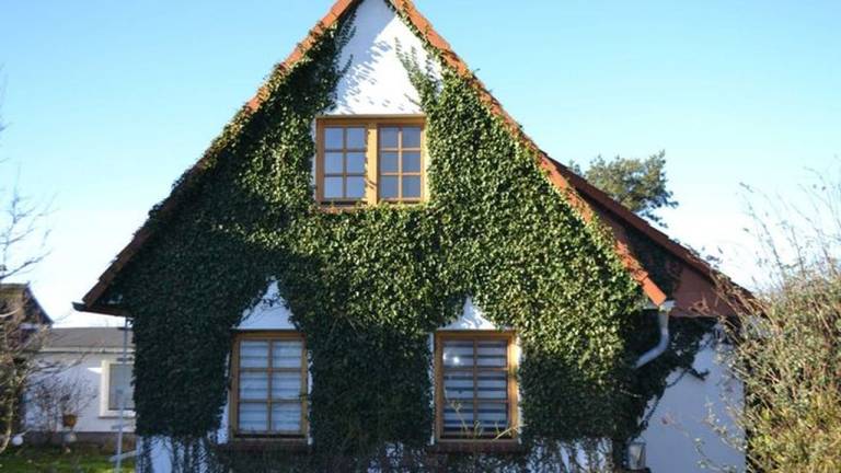 Ferienwohnung  Kloster