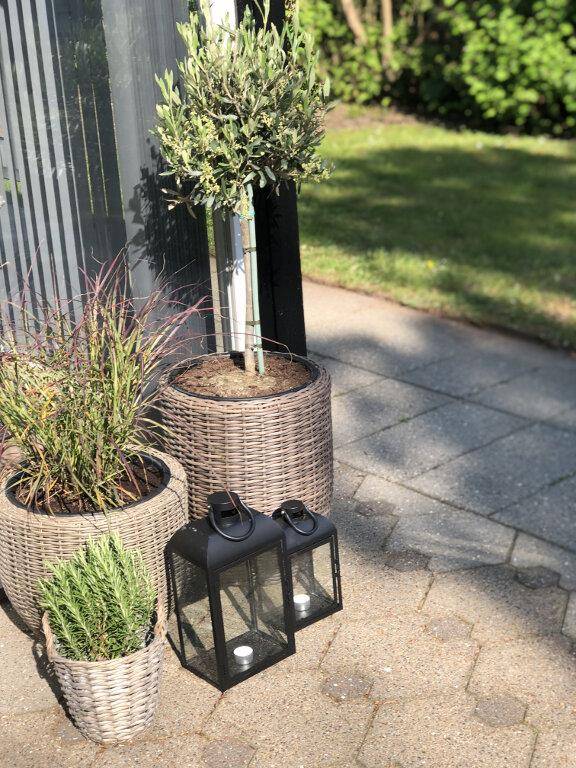 foto27