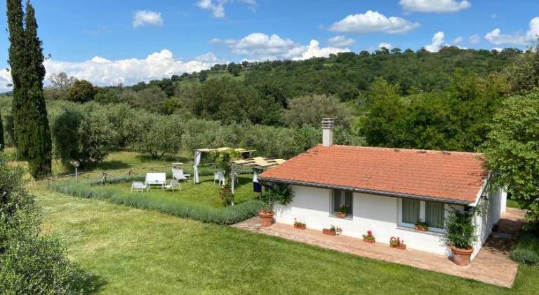 Farm with garden, BBQ & pool | Perfect for remote work — photo 5