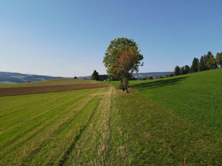 foto2