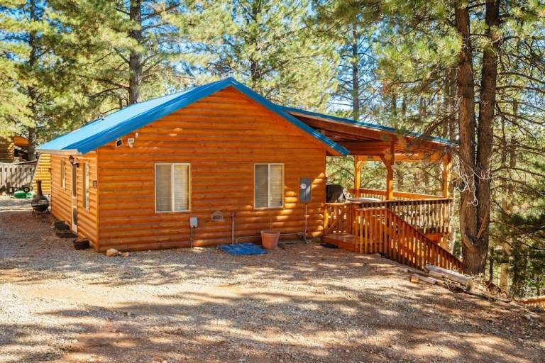Cabin  Duck Creek Village