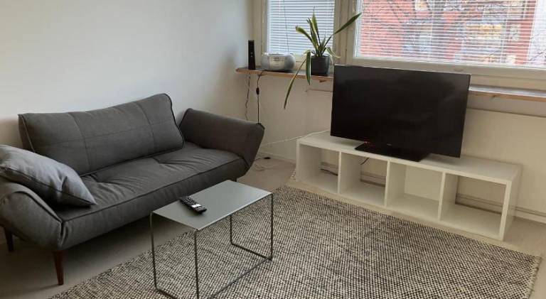 Apartment with 1 room for 3 persons — photo 2