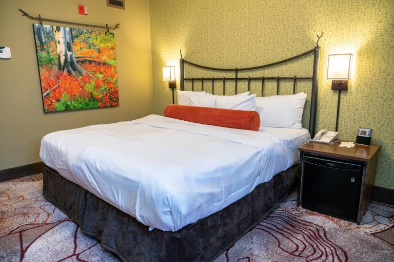 Standard King Room — photo 5