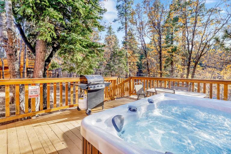 Cabin with patio, barbecue & hot tub | Lake view — photo 2