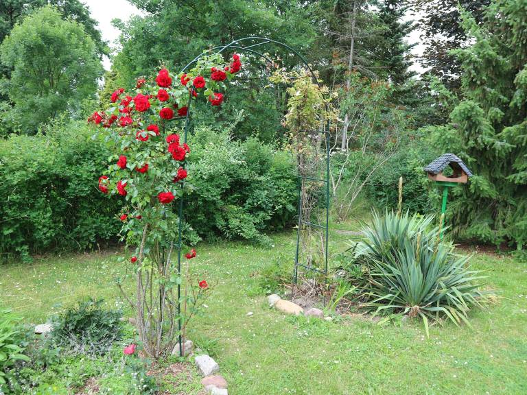 Ferienhaus Forst (Lausitz)