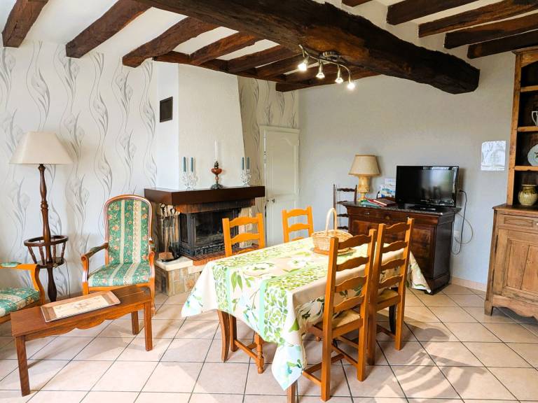 Spacious house with spa, billiards, and large garden near Chablis — photo 4