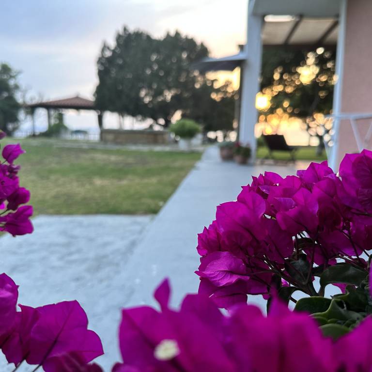 Διαμέρισμα  Παραλία Κατάκολο