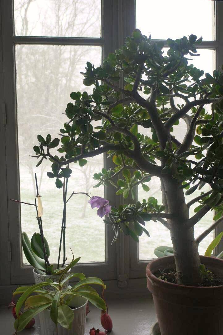 foto18