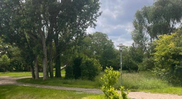 foto17