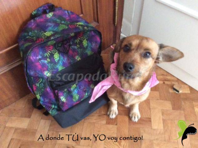 foto45