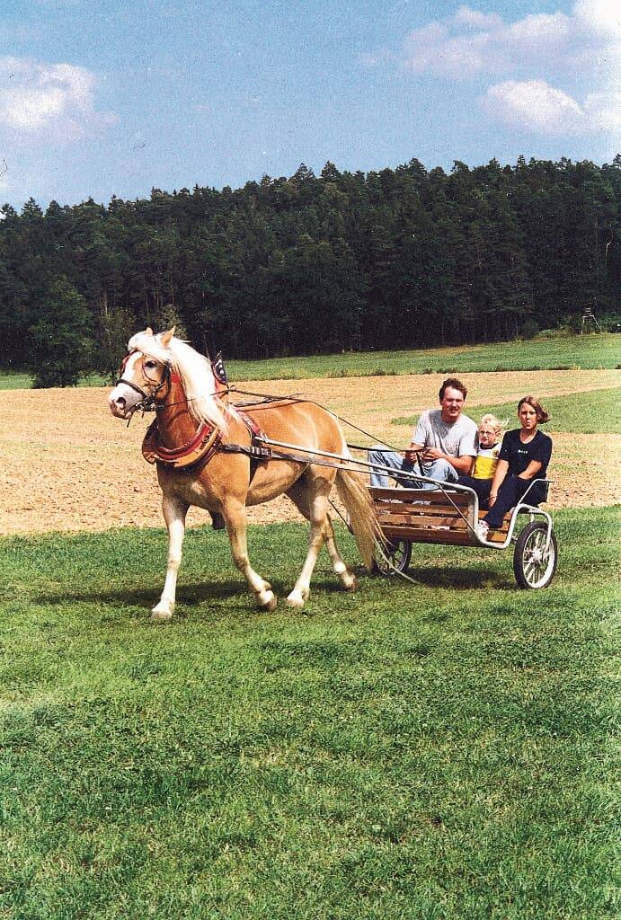 foto16