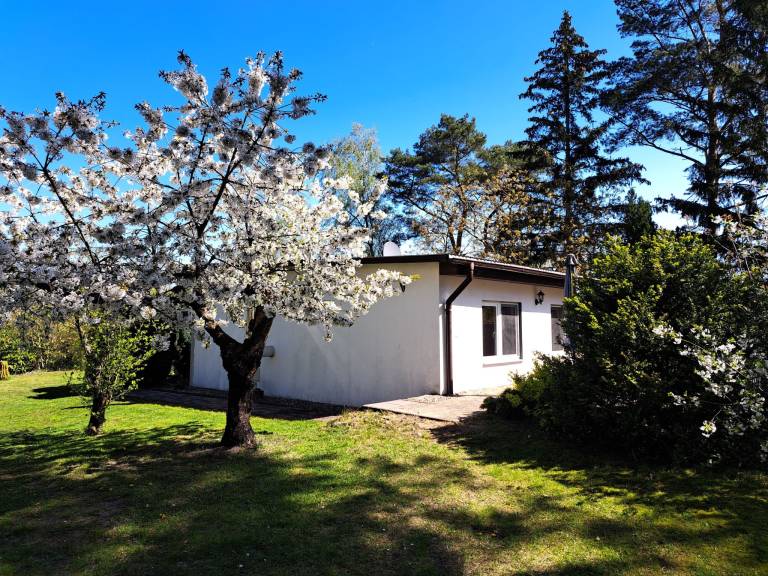 Ferienhaus Altwarp