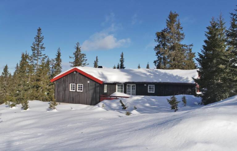 Hus Ringsaker