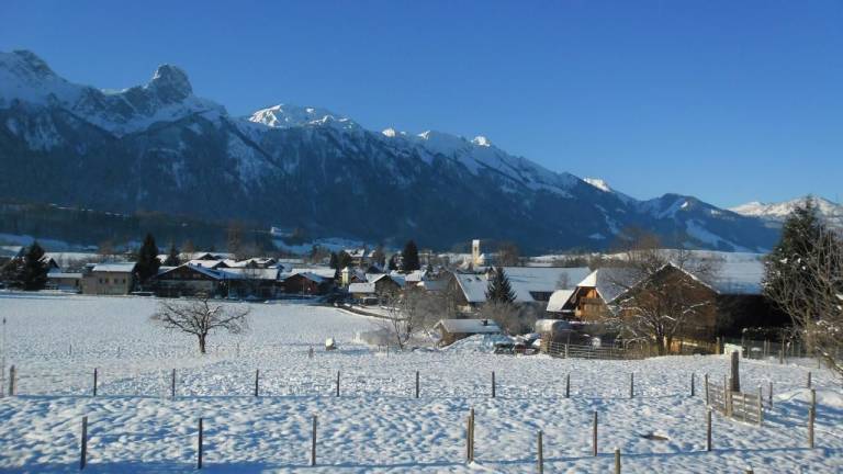 Ferienhaus Amsoldingen
