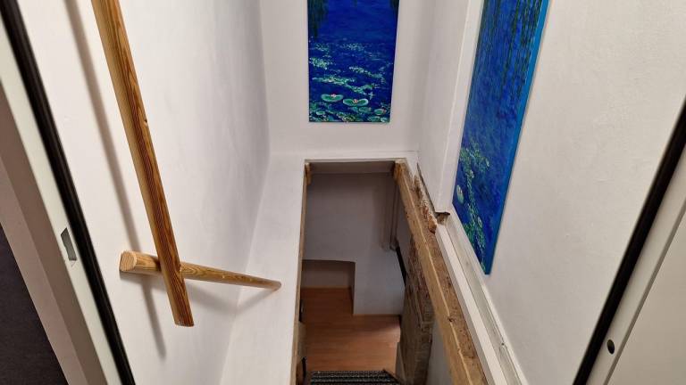 foto24