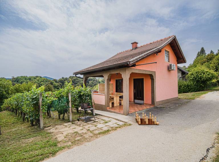 House  Ribnica