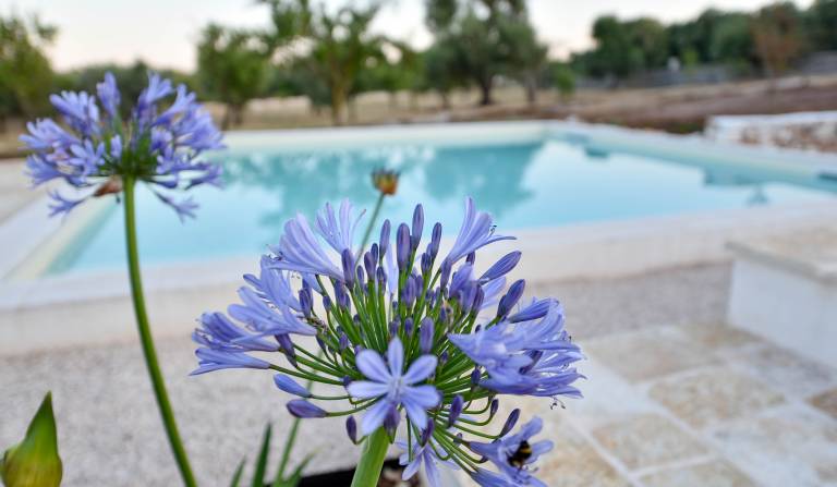 Villa with yard, private pool & barbecue | Garden view — photo 5
