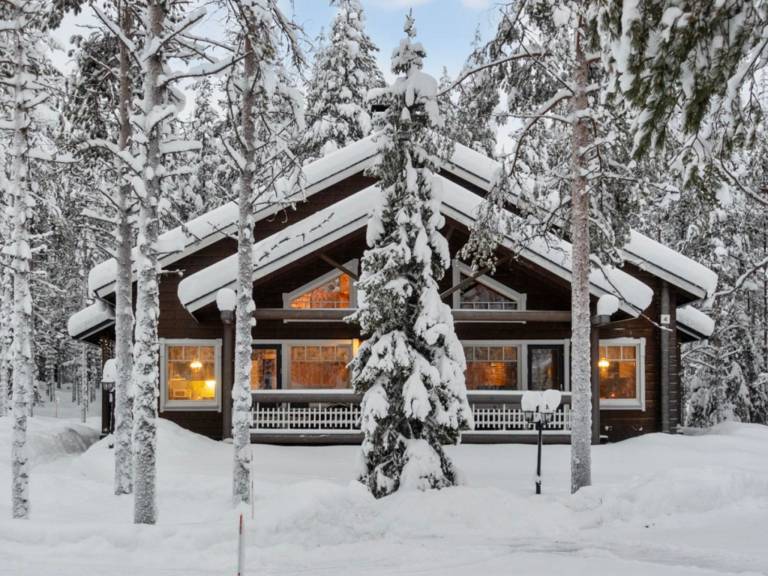 House with sauna — photo 5