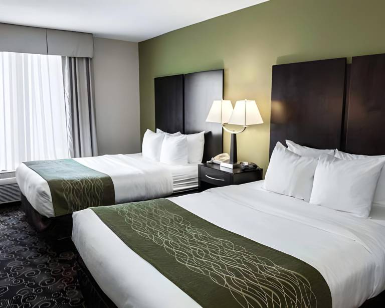 Comfort Suites West Indianapolis Brownsburg