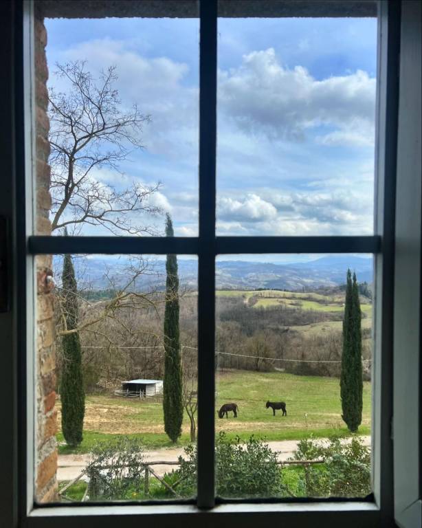 Agriturismo Montesalce Agricampeggio: Appartamento Blu Agriturismo Montesalce — photo 5