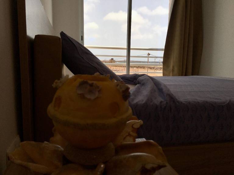foto6