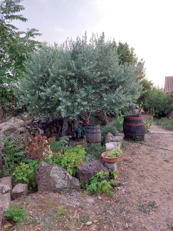 Holiday Home 'Villa Anna Con Giardino' with Private Terrace, Wi-Fi and Air Conditioning — photo 4