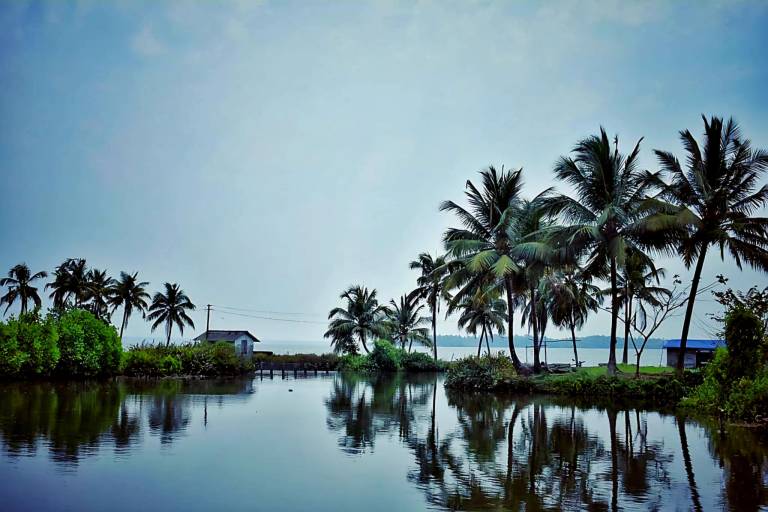 Olam On The Lake
