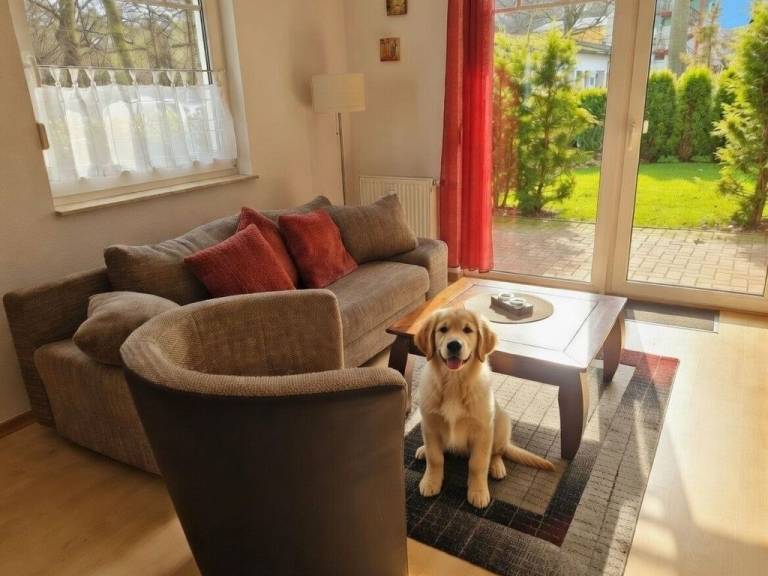 Ferienwohnung mit Hund inMüritz, Graal-Müritz  f&uuml;r max. 4 Personen