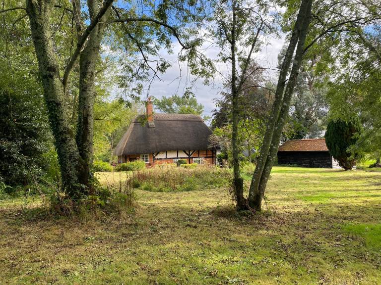 foto29