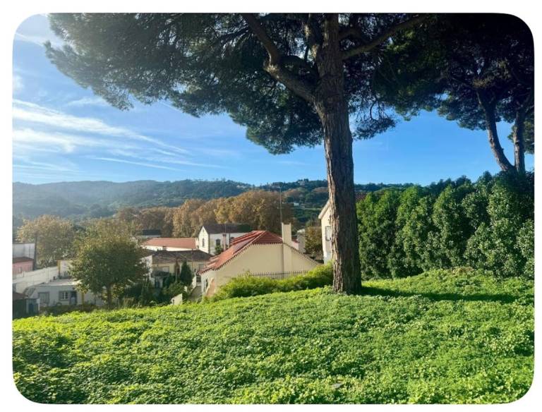 Wonderful vacation home with garden | Pet-friendly — photo 5