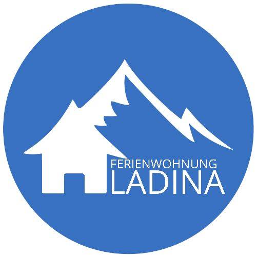 Ferienwohnung  Disentis/Mustér