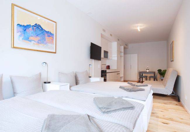 BS Hodler I Marktplatz HITrental Apartment