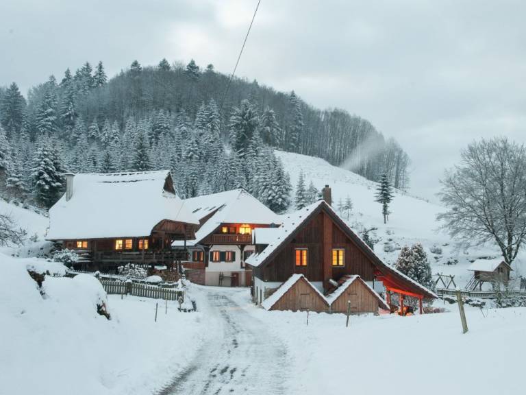 foto17