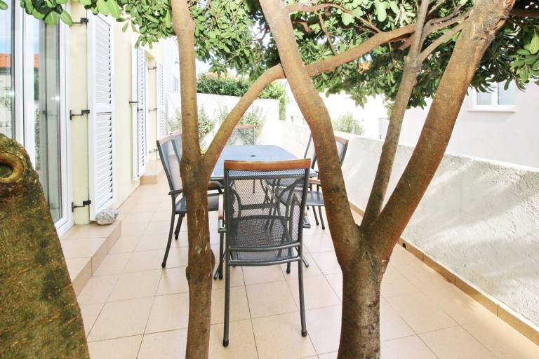 Rental apartment with terrace — photo 3