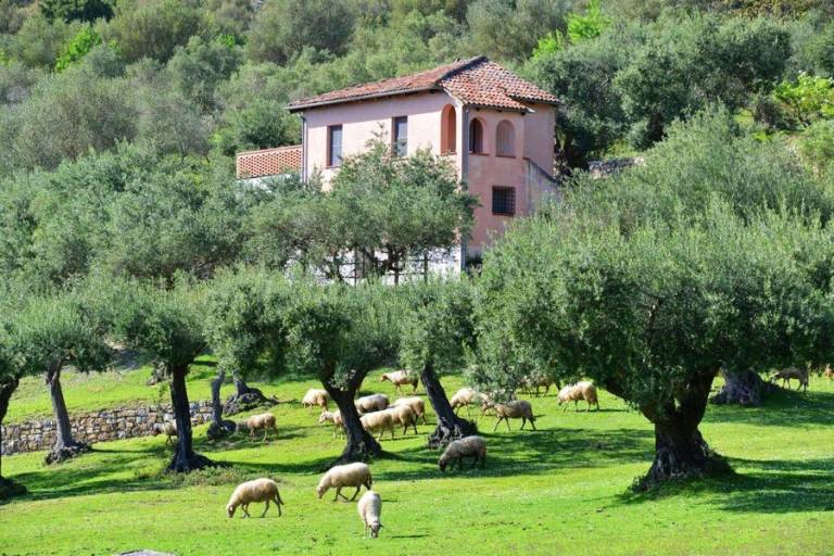 Casale Torraca