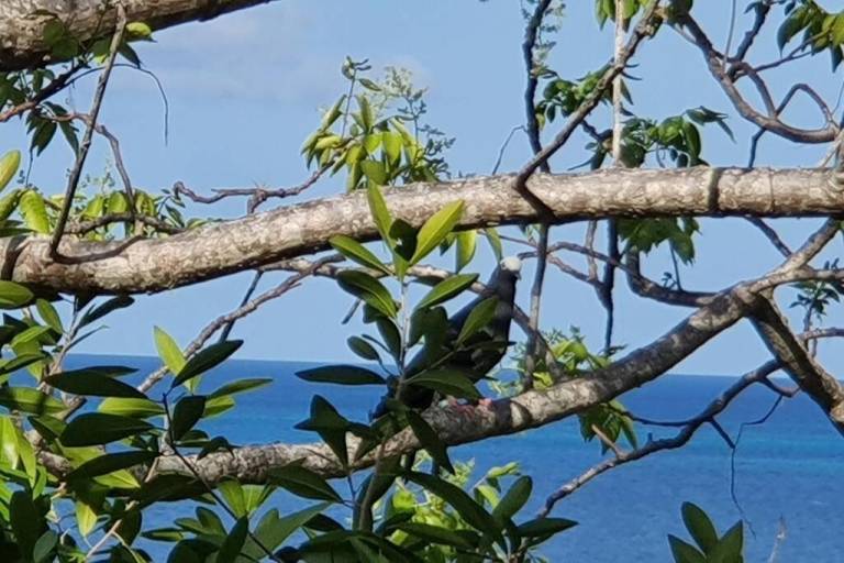 foto18