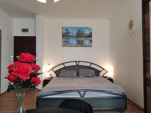 Apartament Pokrzywna