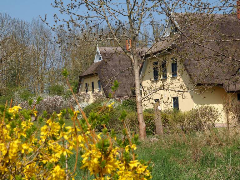 Child-friendly nice house with barbeque, garden & terrace | Dogs allowed — photo 5