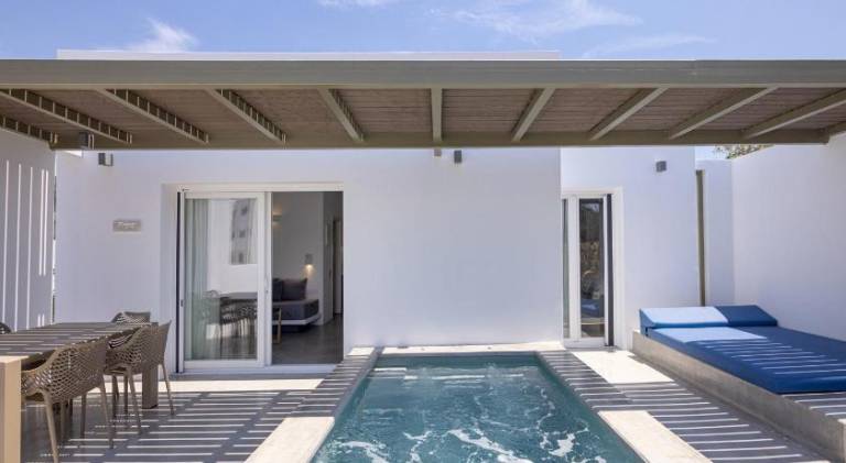 Serviced apartment with jacuzzi, garden & terrace in Tinos