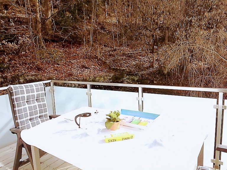 Ferienwohnung Bad Wildbad